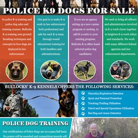 Trained Police Dogs For Sale: Trained Police Dogs For Sale