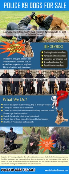Trained Police Dogs For Sale: Police K9 Dogs For Sale