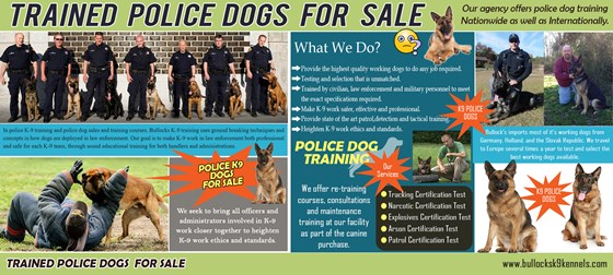 Trained Police Dogs For Sale: K9 Police Dogs